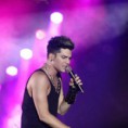 /album/fenykepgaleria/a404500-573939185967014-145274228-n-jpg/